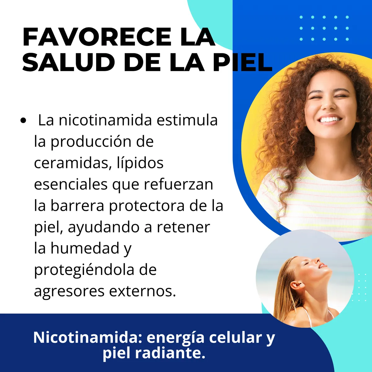 Miniatura 4 de NICOTINADMIDA