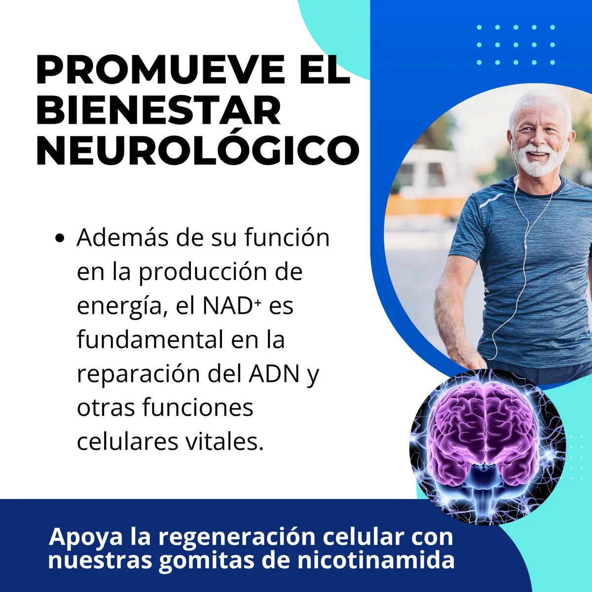 Miniatura 2 de NICOTINADMIDA