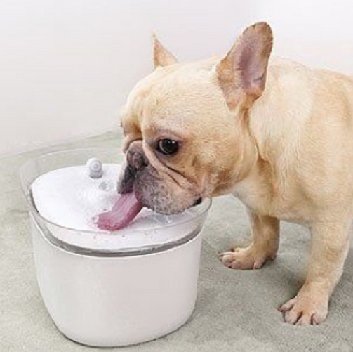 Repuesto Espuma Filtro Fuente Agua Bebed