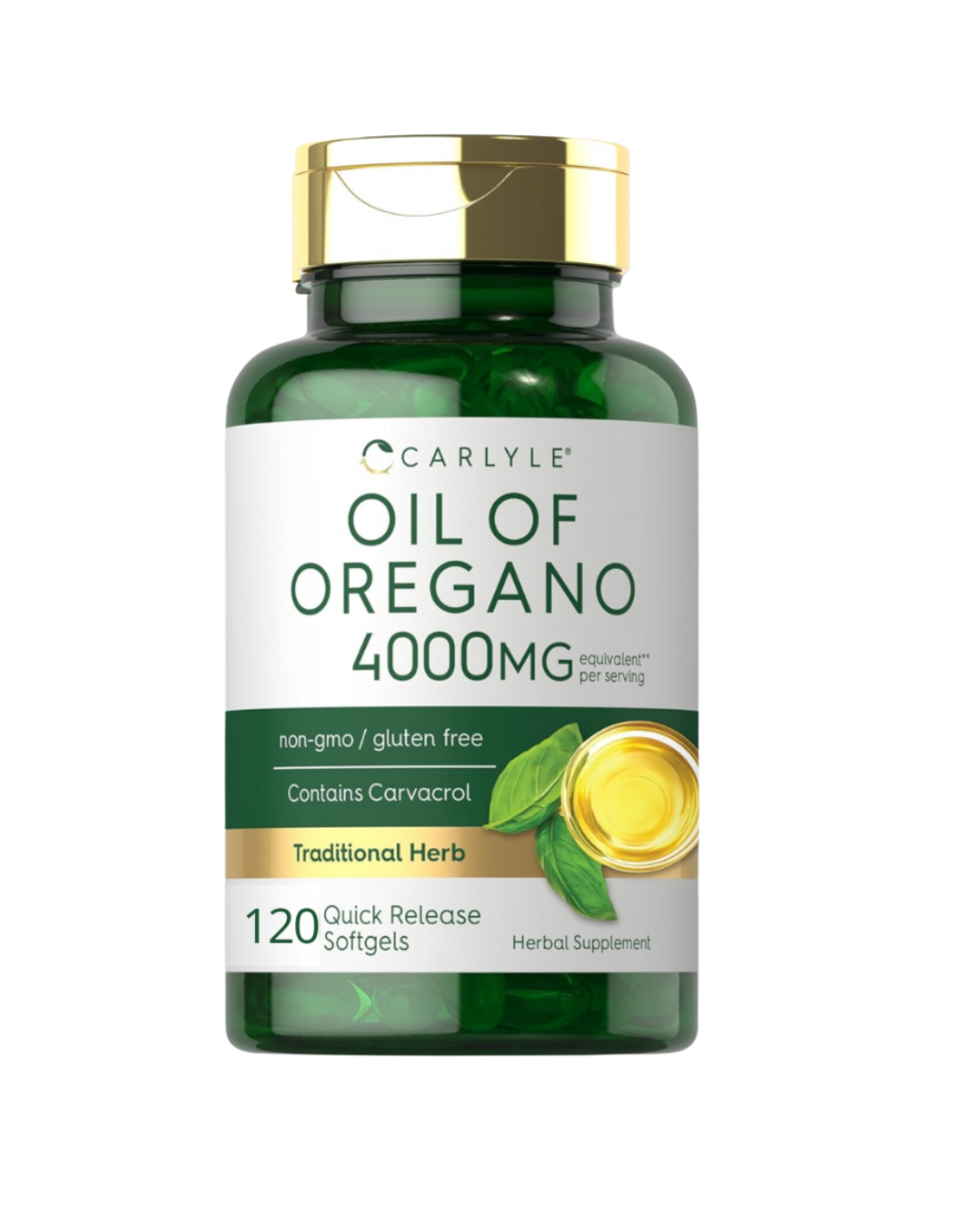 OREGANO CARLYLE X120