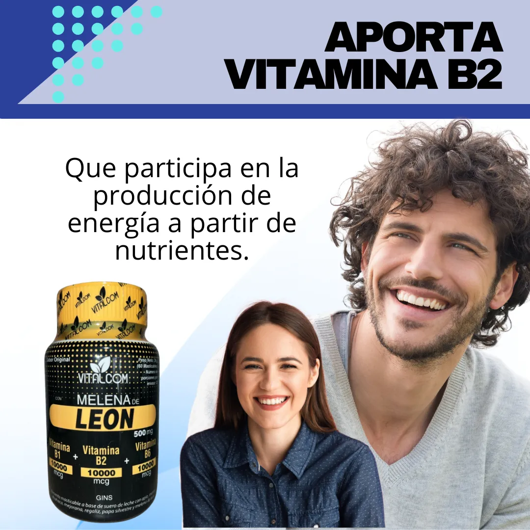 Miniatura 5 de MELENA DE LEON