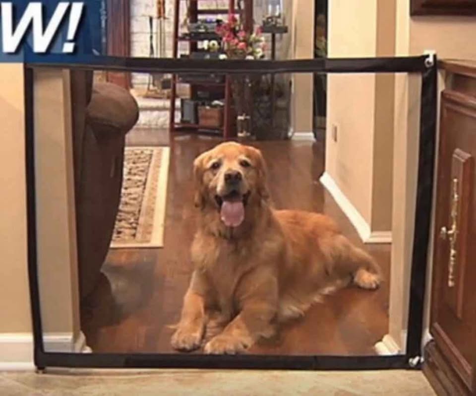 Miniatura 4 de Red Malla Seguridad 200 x 120 cm