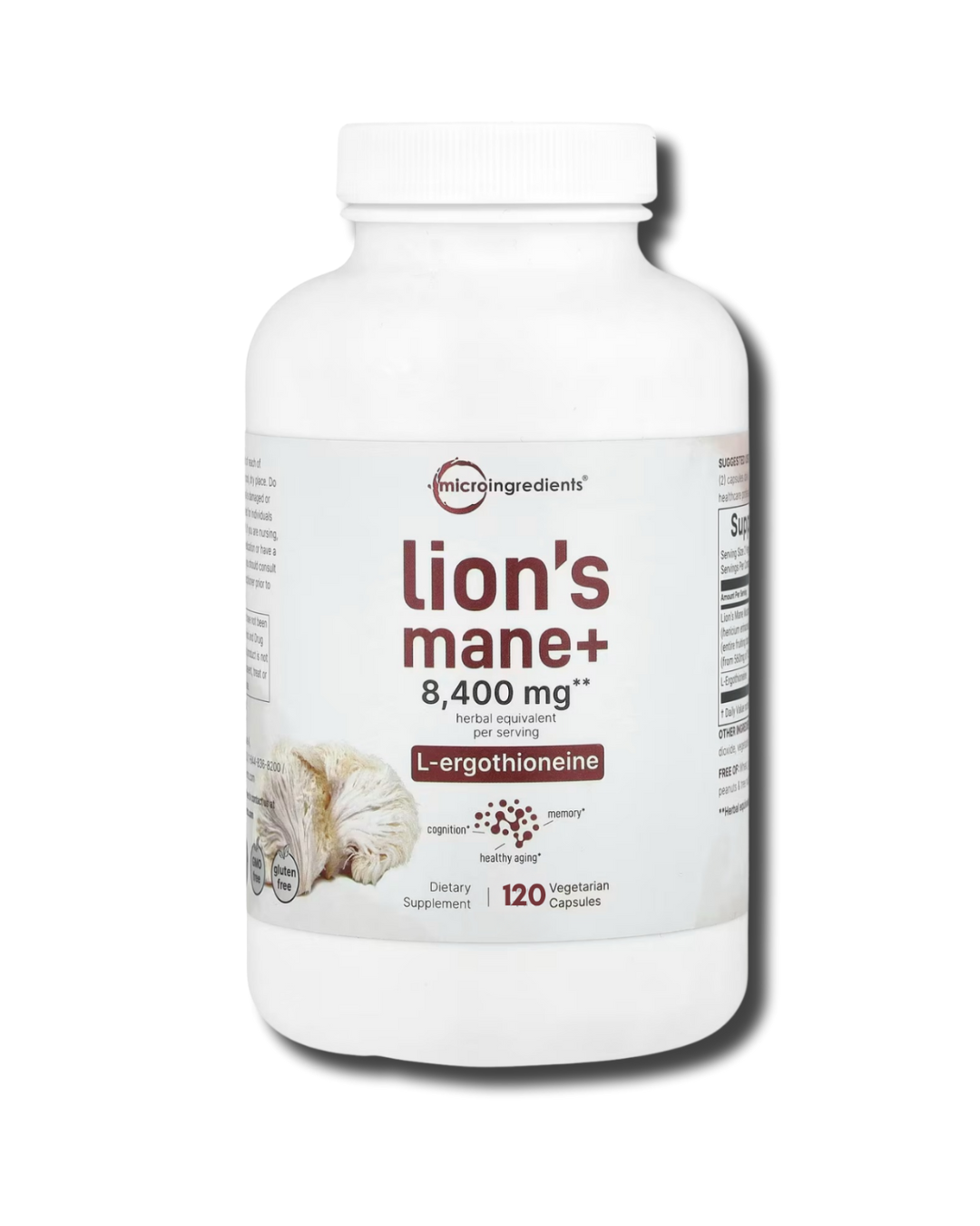 LION'S MANE disponible en Yaxa Colombia