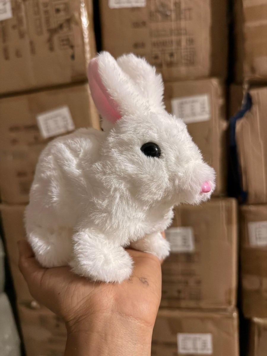 CONEJITO INFANTIL CAMINANTE -2615 - Vista 1