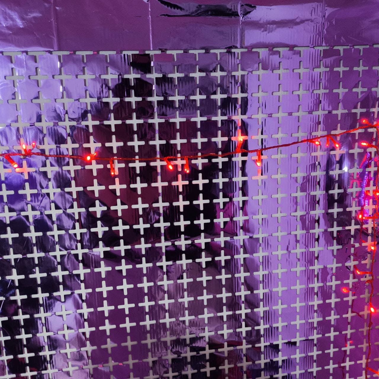 Extensión Luces LED Rojas 6M 1404-E100L