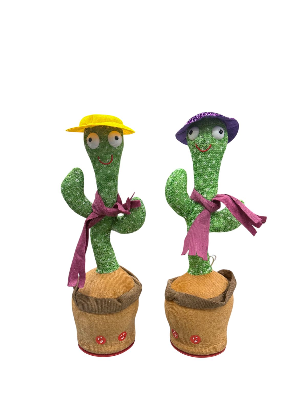 CACTUS BAILARIN