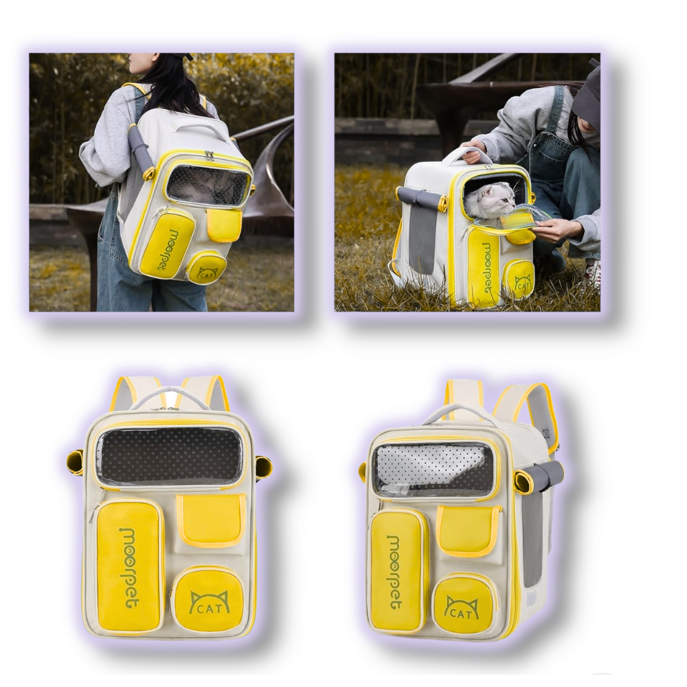 Maleta Transporte Accesorios Perros Am 2