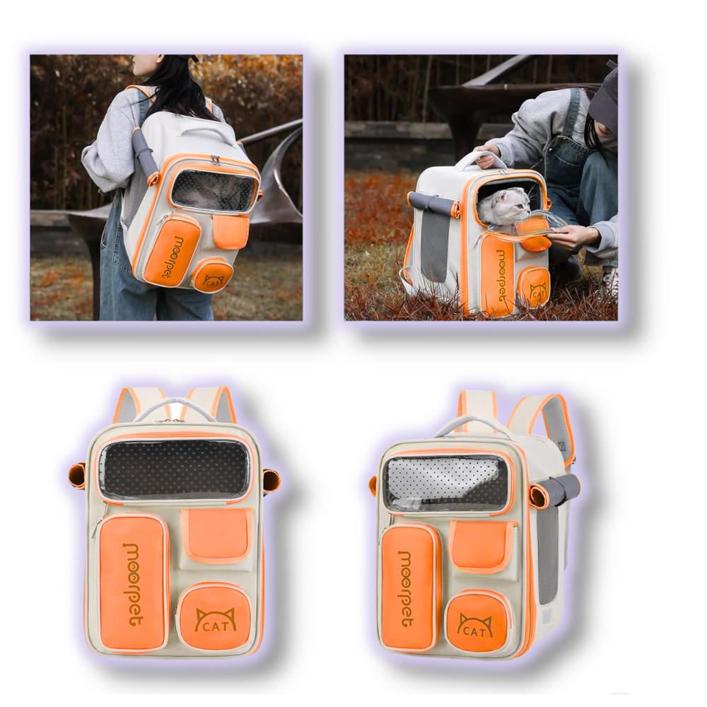 Maleta Transporte Accesorios Perros Nj 3