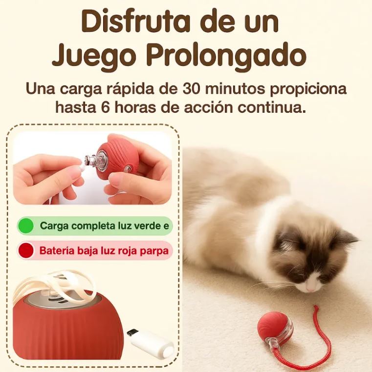 Imagen informativa de carga USB Tipo C