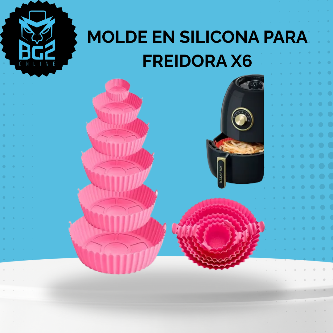 MOLDE EN SILICONA PARA FREIDORA X6