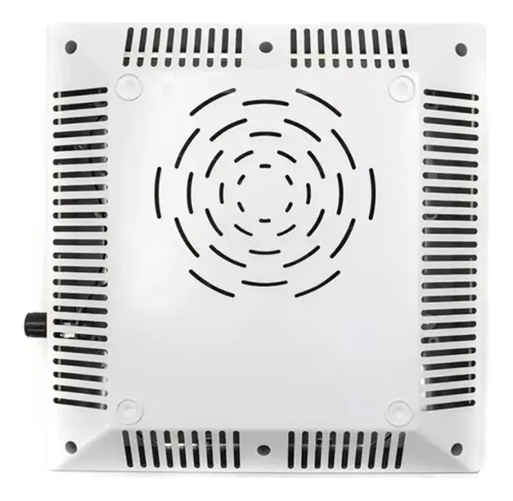 Vista 3 de EXTRACTOR POLVO TORNASOL