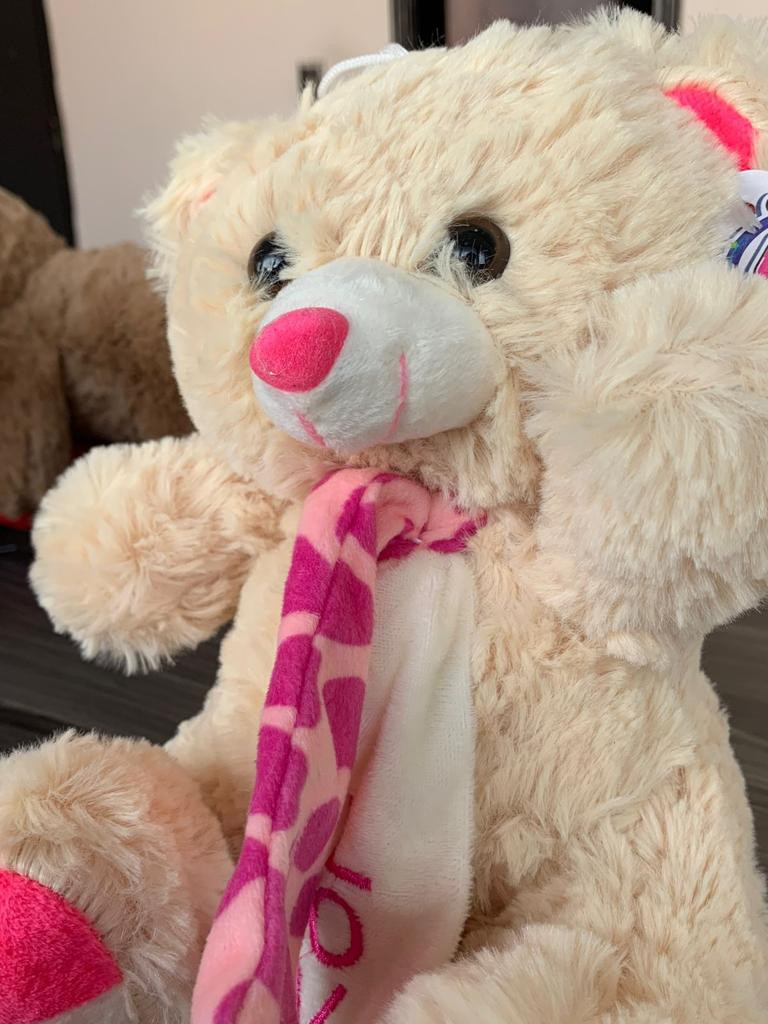 Miniatura 2 de Osito de peluche