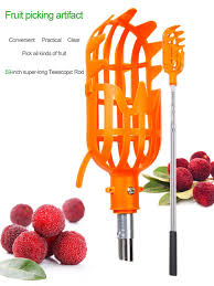 Herramienta para recoger fruta grande