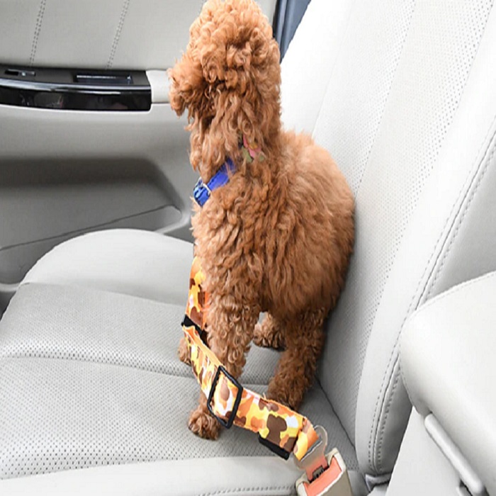 Collar Para Perro Cinturon Seguridad Amarillo 2