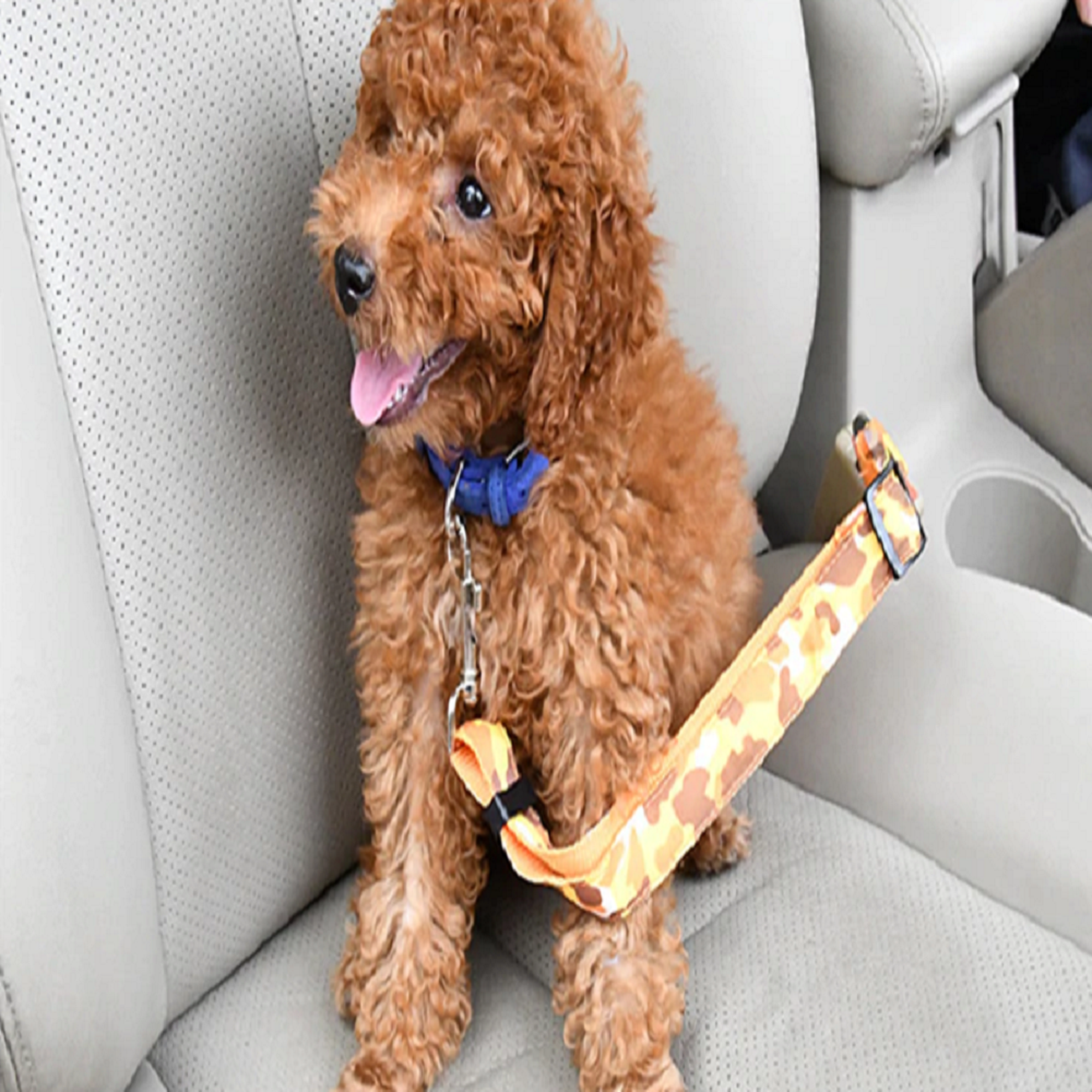 Collar Para Perro Cinturon Seguridad Rosa 2