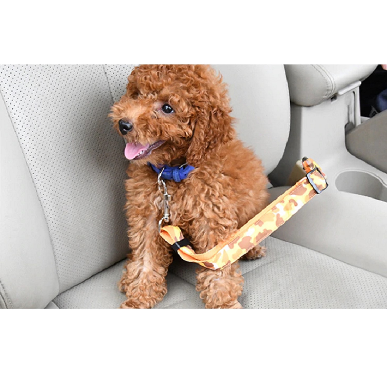 Collar Para Perro Cinturon Seguridad Verde 2