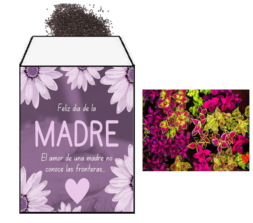 Sobre de Semillas Dia de las Madres - Vista 1