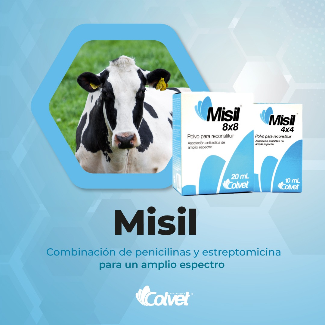 MISIL COLVET - Vista 1