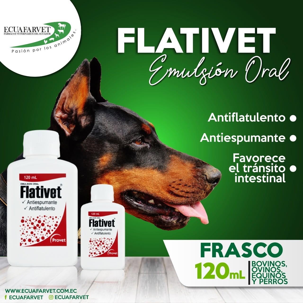 FLATIVET SUSPENSION x 120 ML
