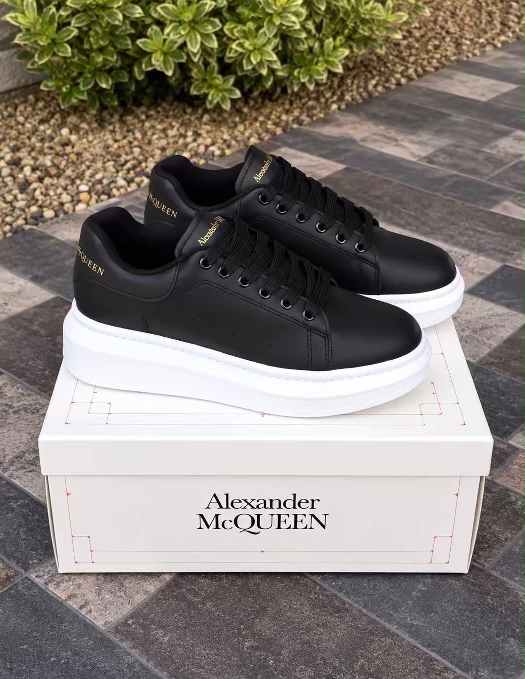 ALEXANDER MQ