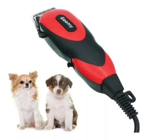 PELUQUERA CANINA