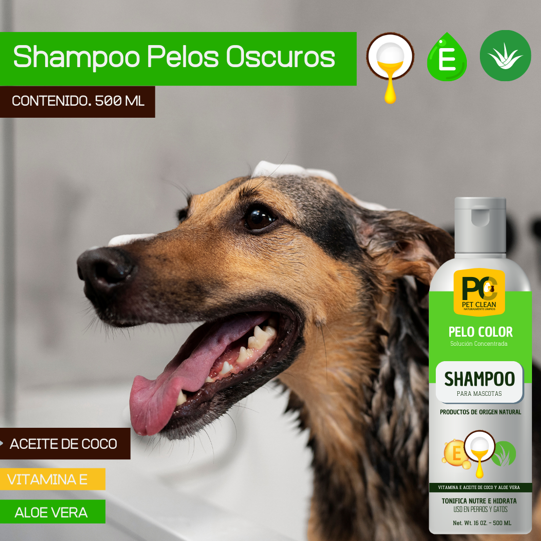 Kit Para Perro Shampoo Rinse X 2