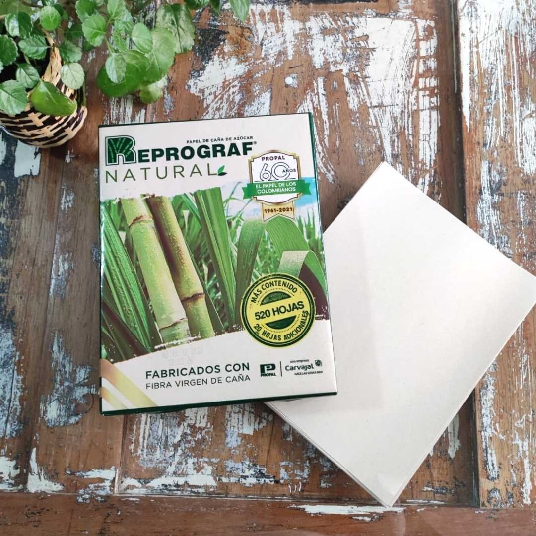 Miniatura 4 de Resma de hojas carta natural Reprograf