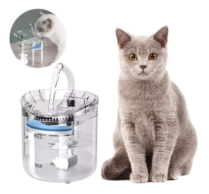 Fuente de agua para gato
