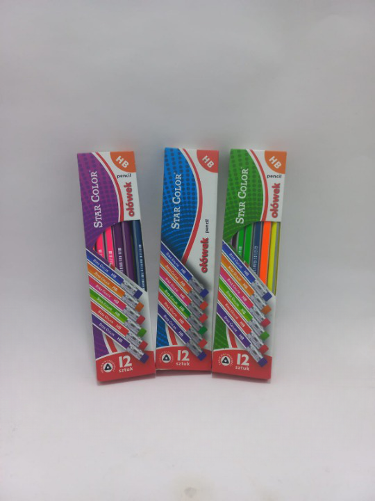 Lápices de colores x12