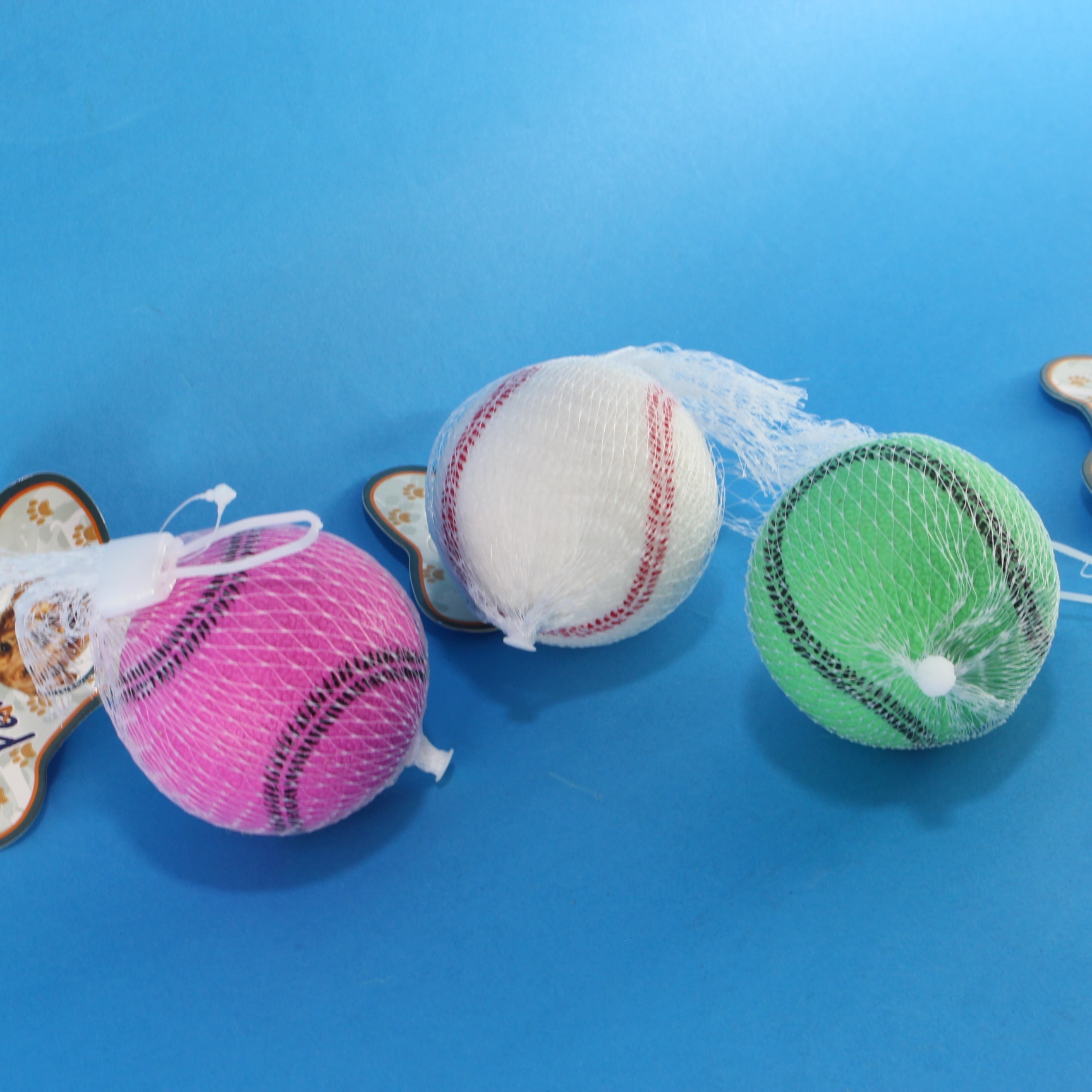 Pelota didáctica para mascota