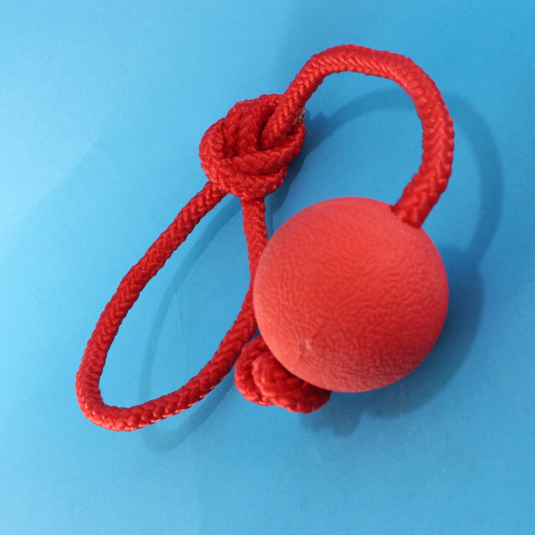 Juguete didáctico para mascota con agar