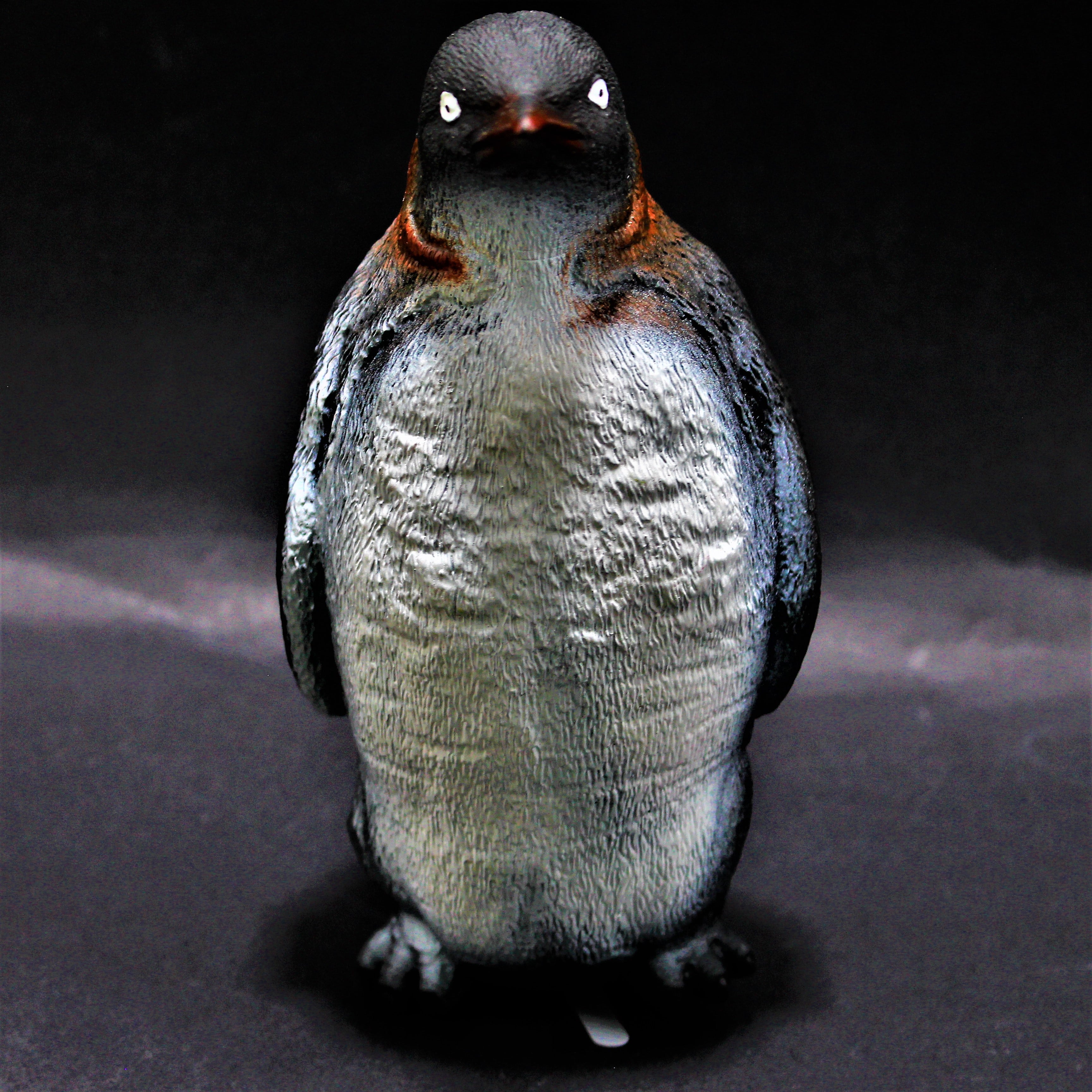 Miniatura 3 de Animal de hule con sonido