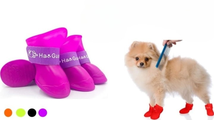 Miniatura 6 de Zapatos para mascota talla XL