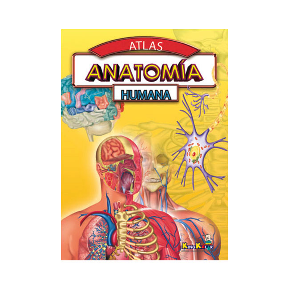 LIBRO ANATOMIA HUMANA