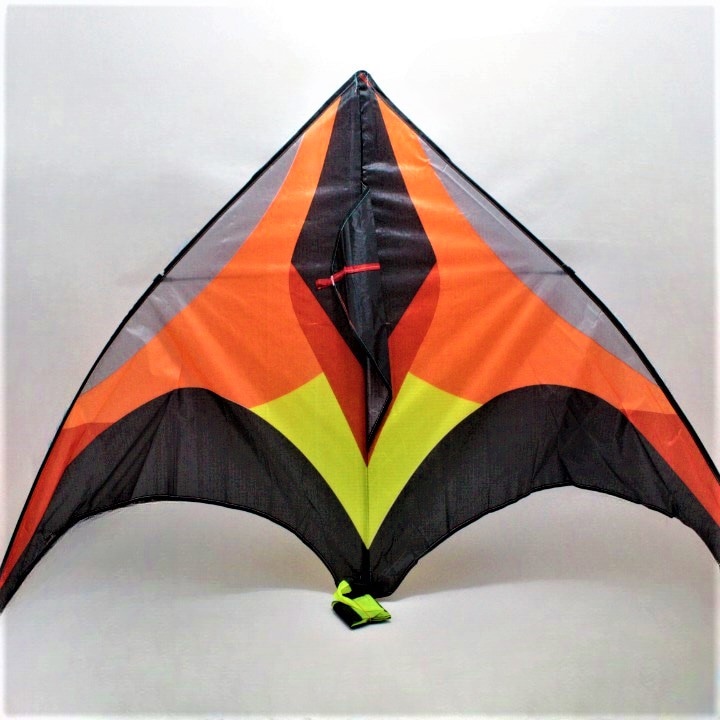 Miniatura 2 de Cometa grande colores surtidos 155cmx79