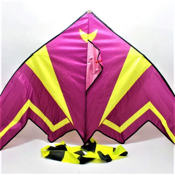 Miniatura 3 de Cometa estilo avion colores vivos 155cm