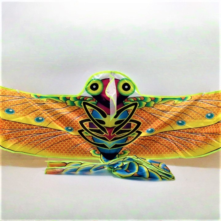 Miniatura 3 de Cometa estampada animales con alas gran