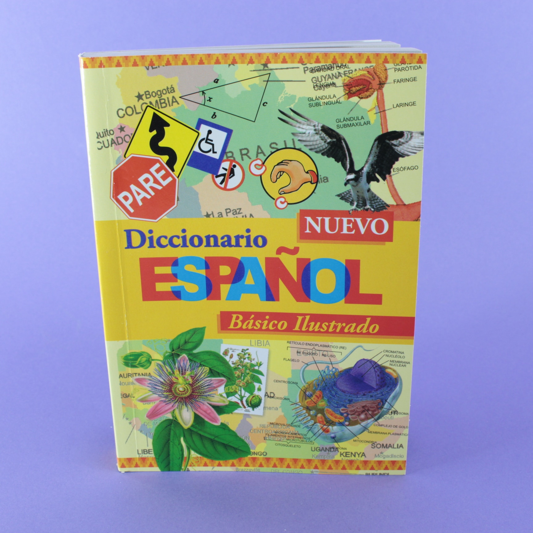 Miniatura 2 de Diccionario español básico ilustrado