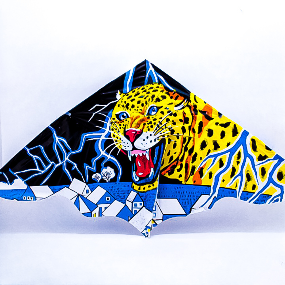 Miniatura 4 de Cometa estilos surtidos de plastico 120