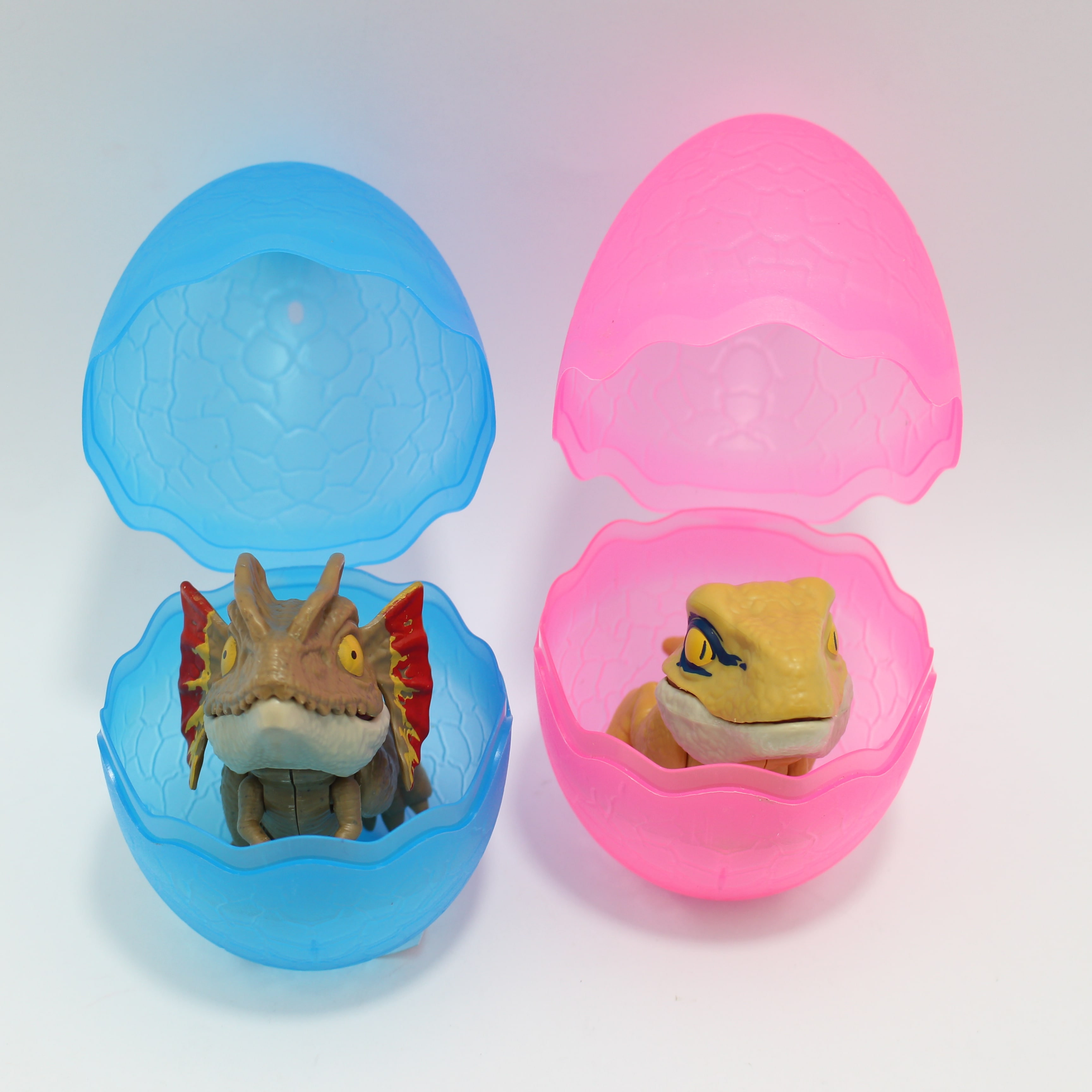 Huevo con Dinosaurio mordelon