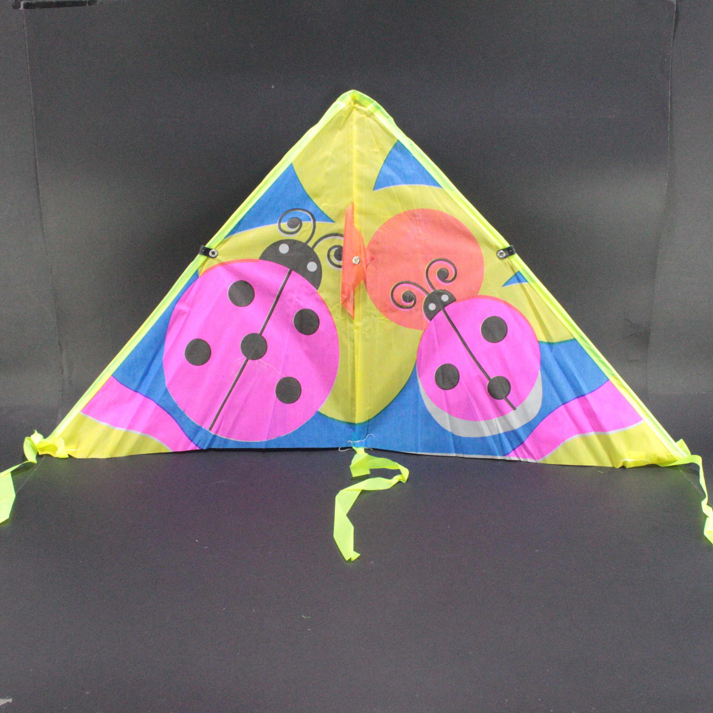 Miniatura 3 de Cometa surtida de 1.1m