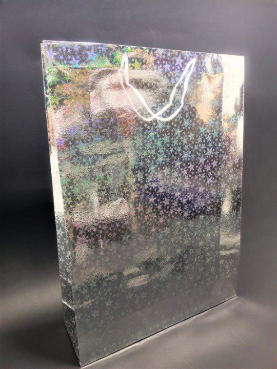 BOLSA TORNASOL PLATEADA