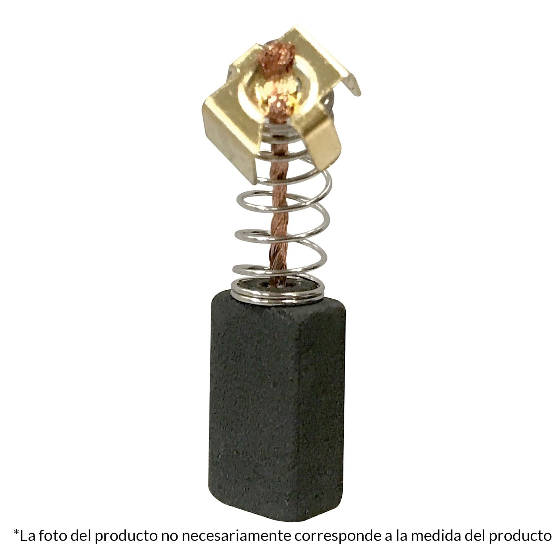 2 Carbones Taladro percutor Roto-1/2P6