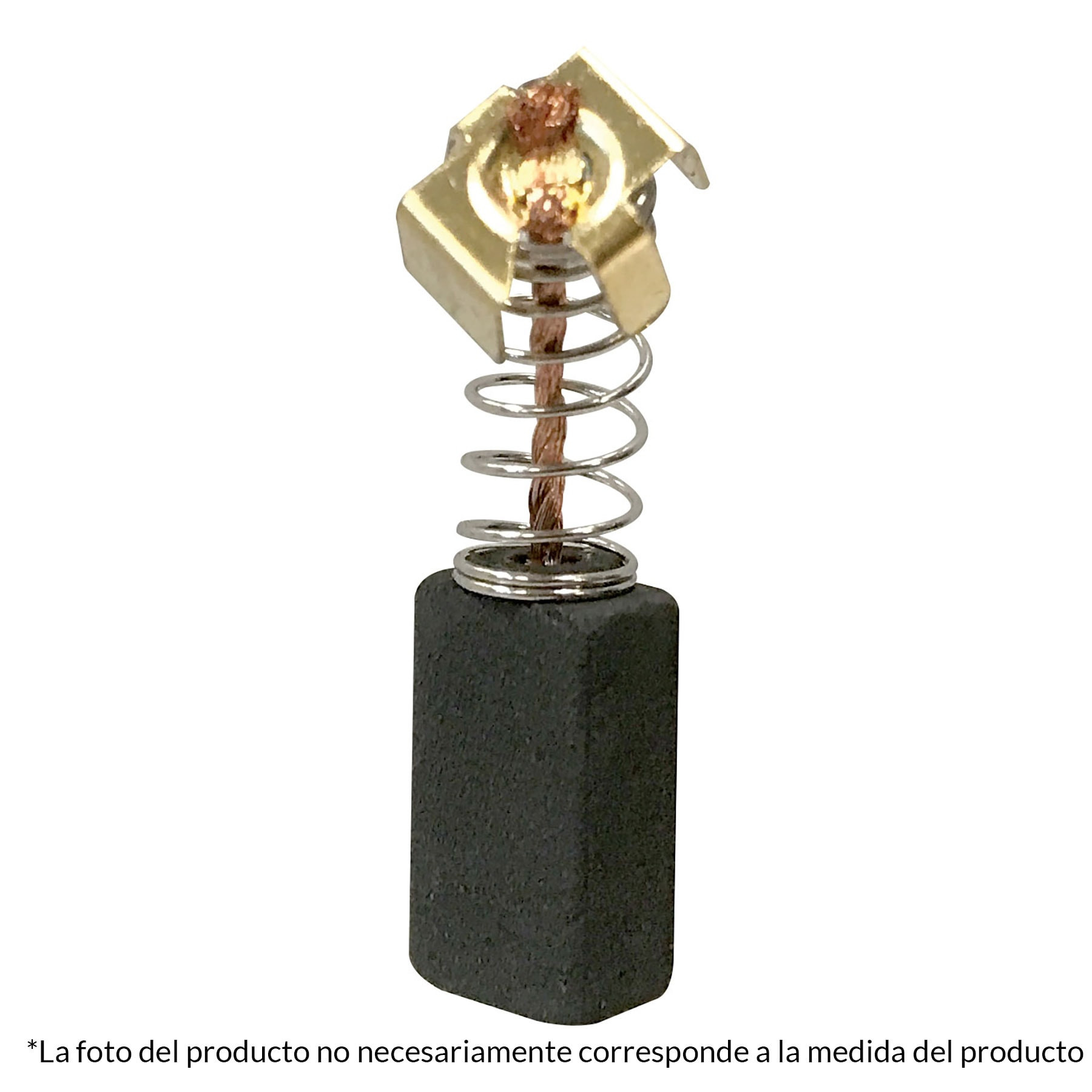 2 Carbone sTaladro percutor Rplus-4Nx