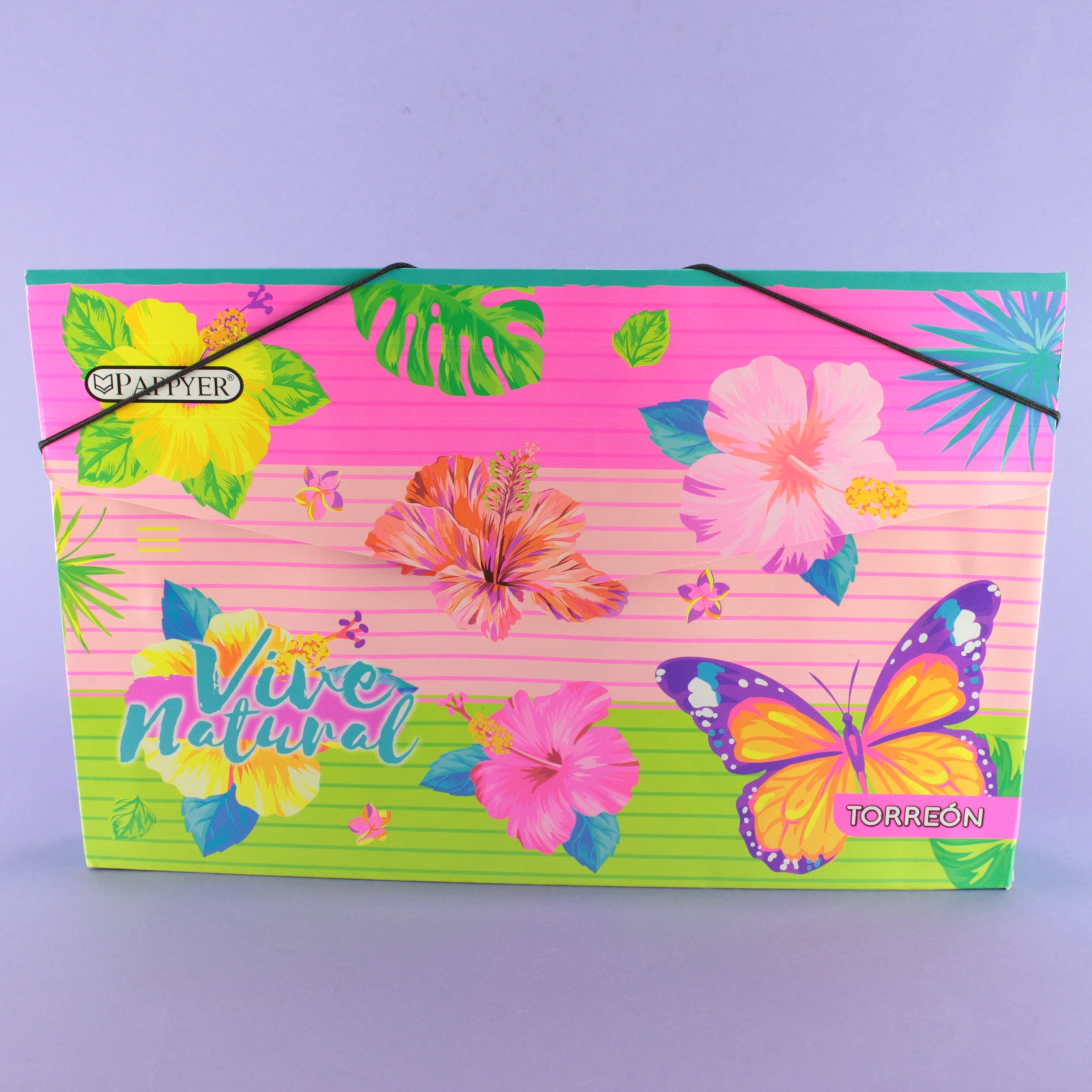 Miniatura 4 de Carpeta escolar con fuelle