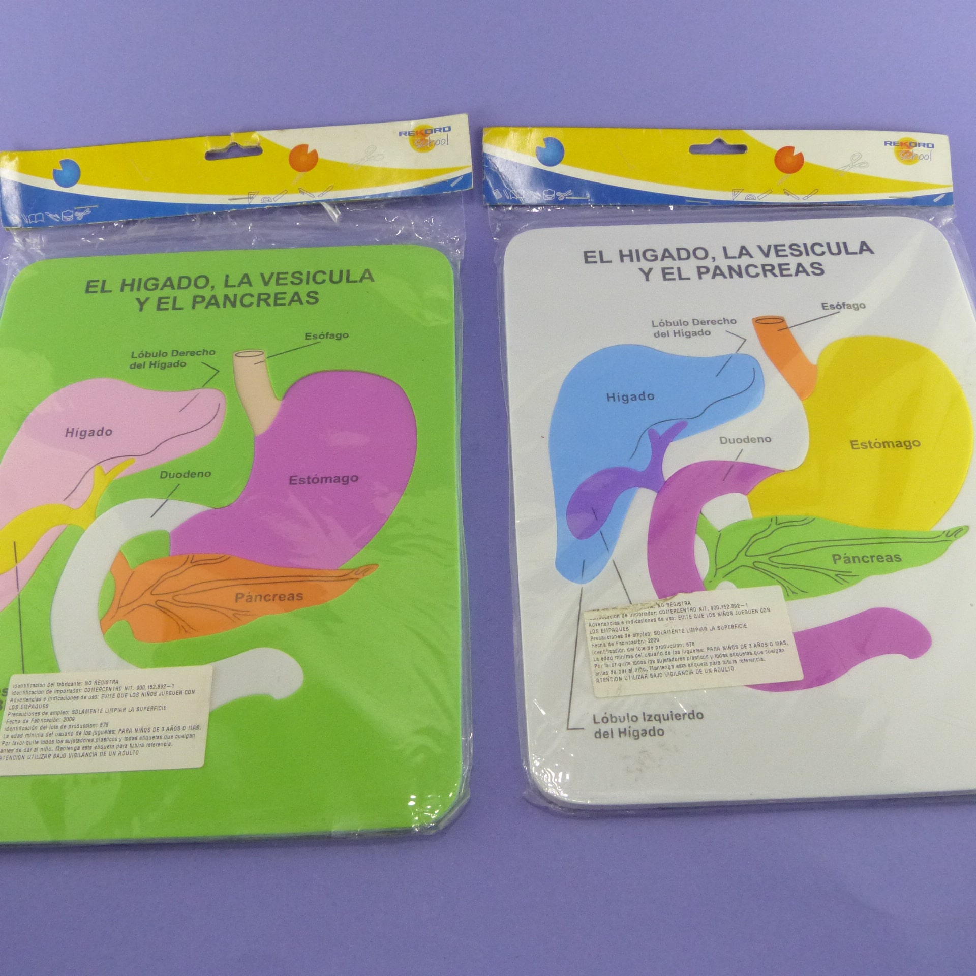 Rompecabezas de hígado en foami