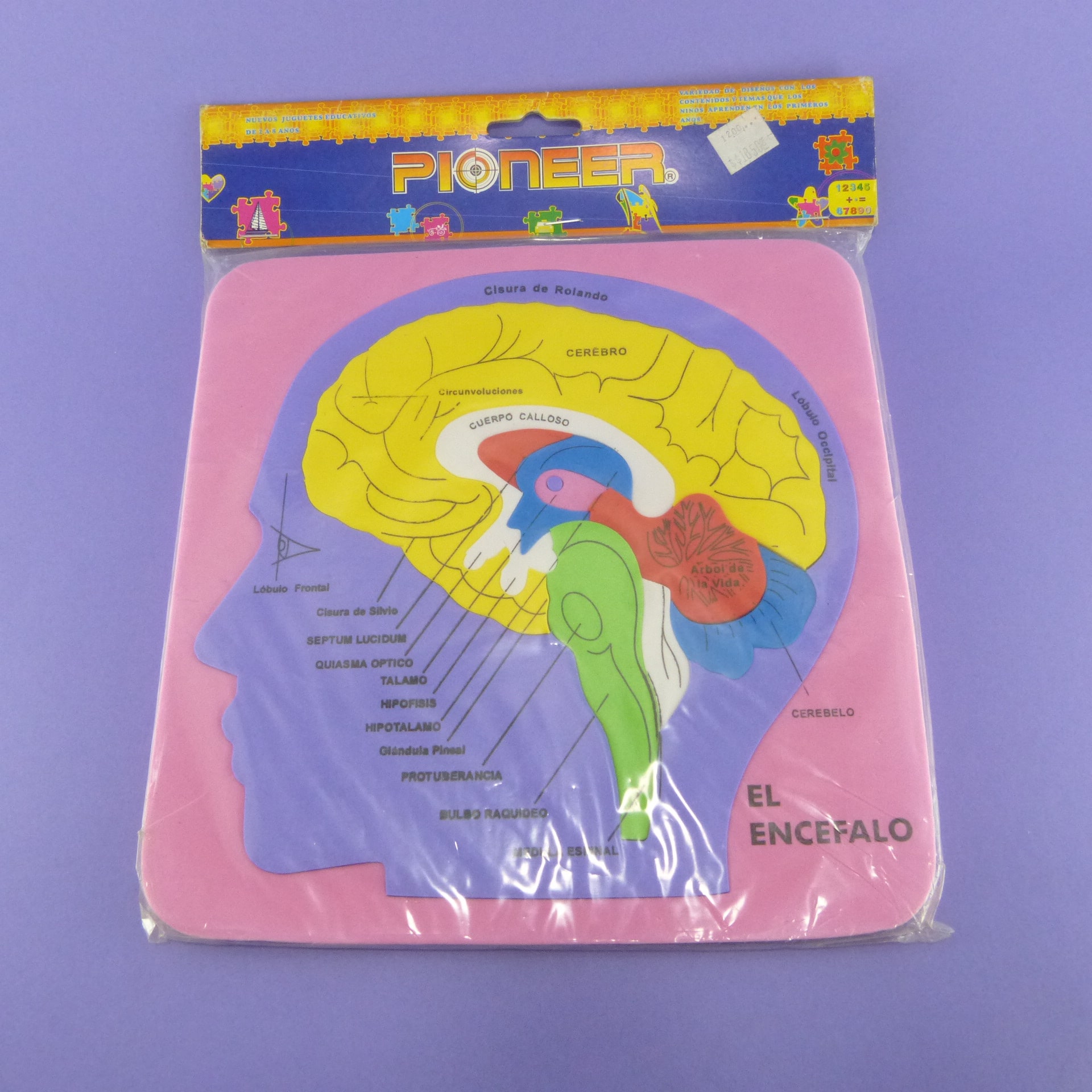 Rompecabezas de foami el encefalo