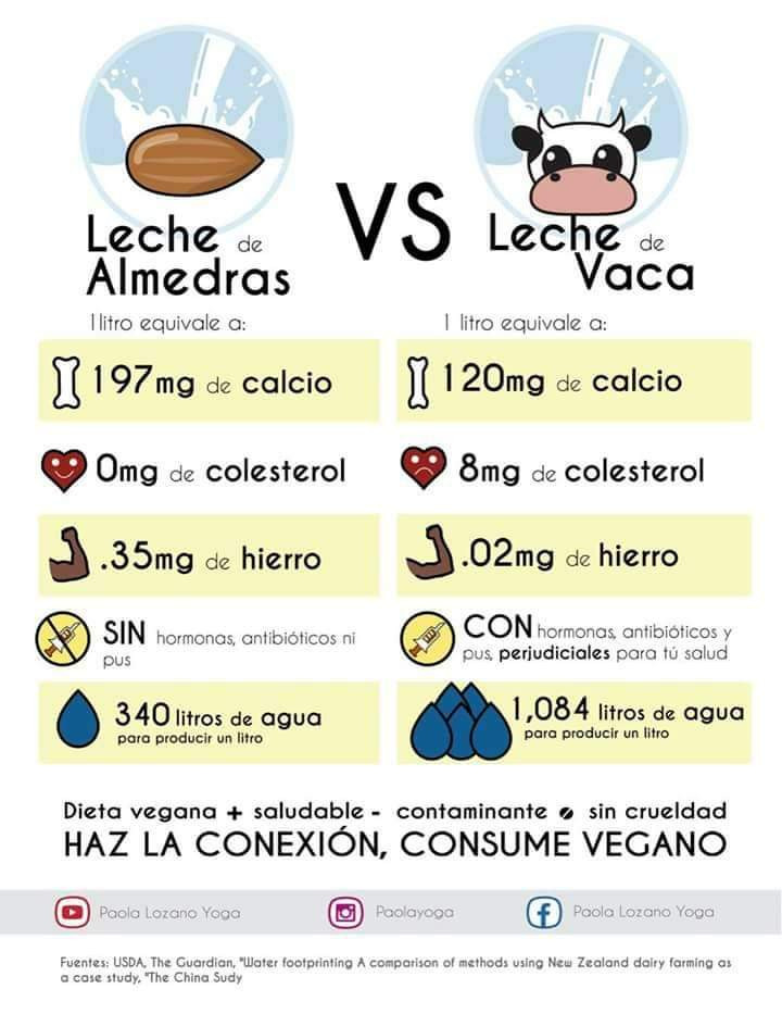 Vista 5 de Leche de Almendras en polvo 600 Gr