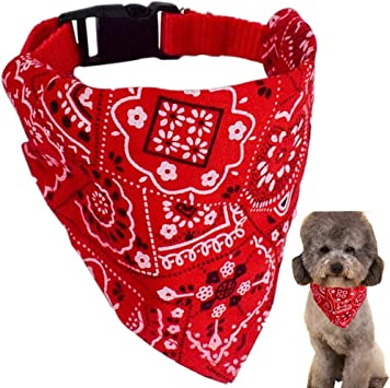3 Collares Bandana Graduable Perros 3