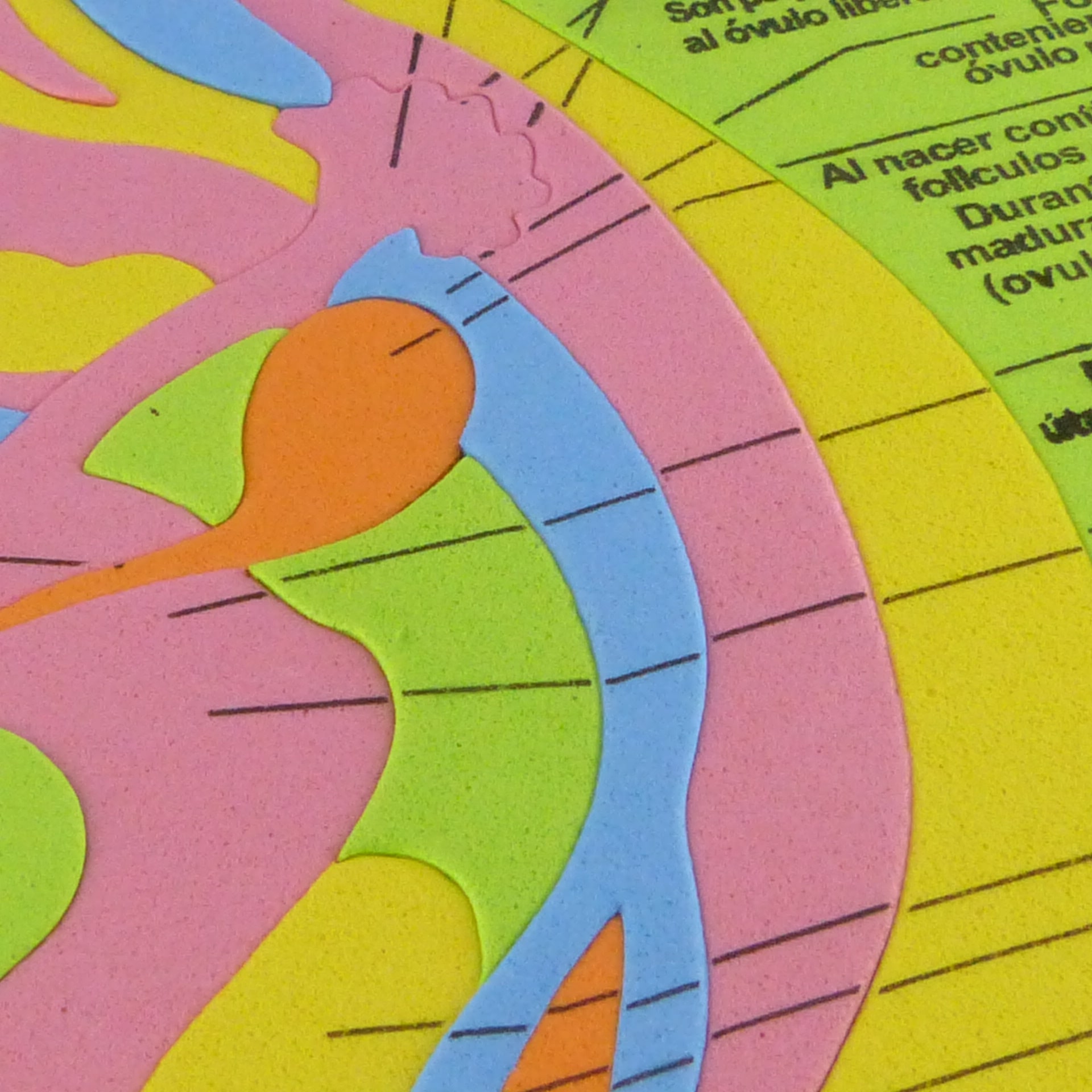 Miniatura 2 de Rompe cabezas cuerpo humano foami